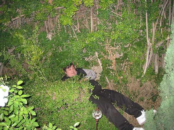 swifty-in-bushes1