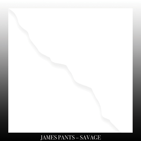 savage-album