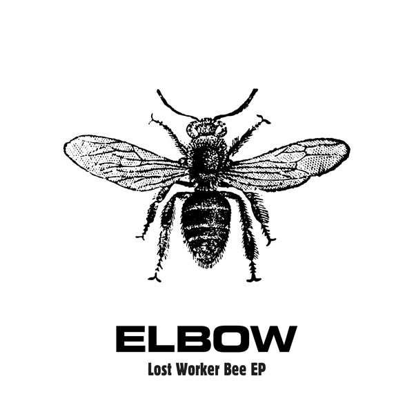 elbow (1)