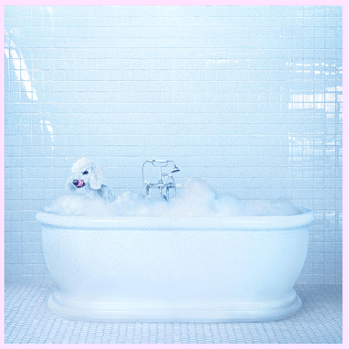 Frankie Cosmos – Being Alive&nbsp;(2018)