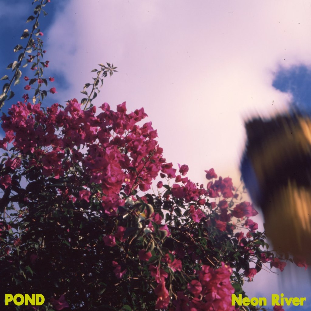 Pond – Neon&nbsp;River