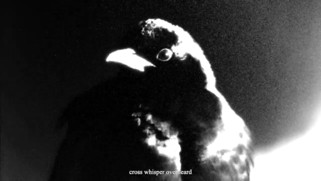 MG x CD + JL = – Cross Whisper dir: Luca&nbsp;Bailey